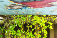 Violet Crown Trail  (Austin, TX)