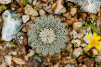 Colorado Bend State Park (Spring 2018)