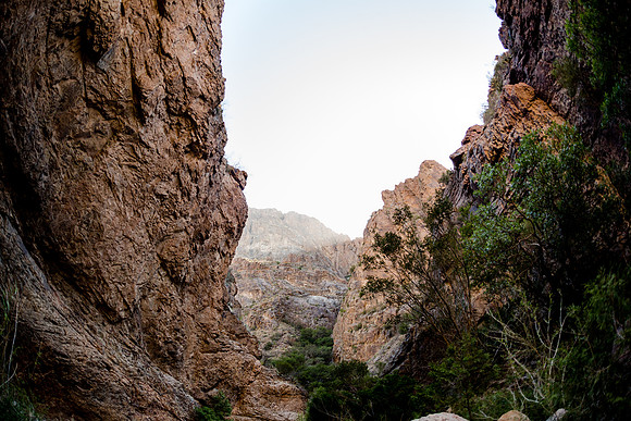 Window Trail