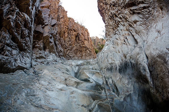 Window Trail