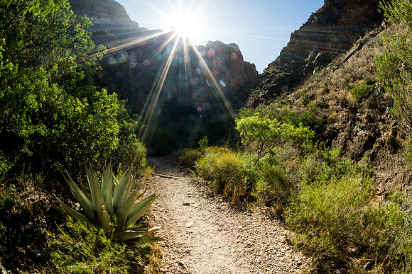 Window Trail