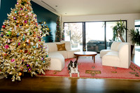 Houzz  12-8-17