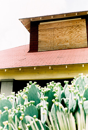 expired film